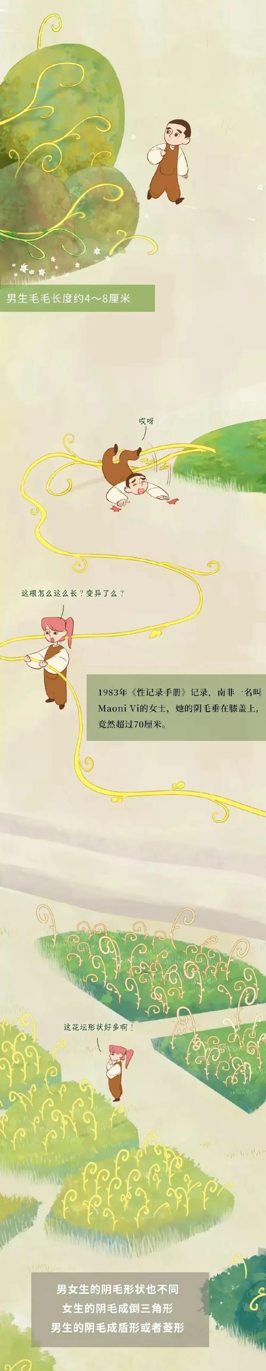 漫画分享：人类阴毛从出生到脱落的全过程