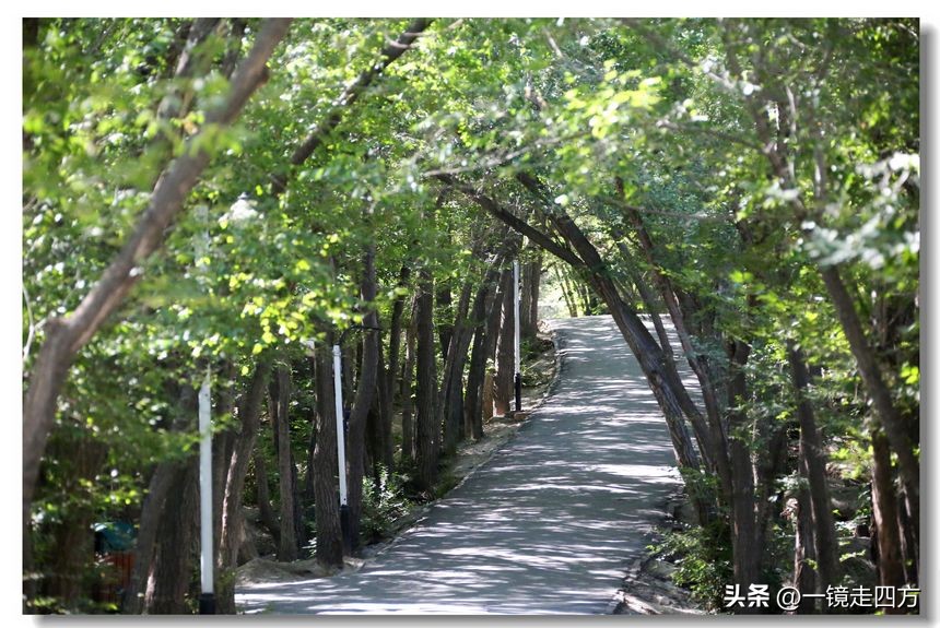 乌鲁木齐十大隐藏公园,乌鲁木齐最好的小绿谷公园