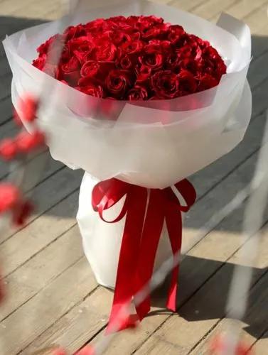 520浪漫玫瑰花壁纸,红玫瑰花壁纸大图