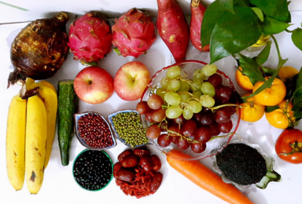 养狗心得是什么意思,养狗的十大感受