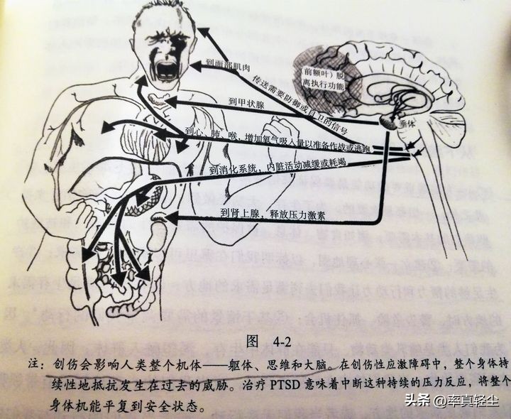 怎样快速解除关机状态,关机时怎样跳过强制关机