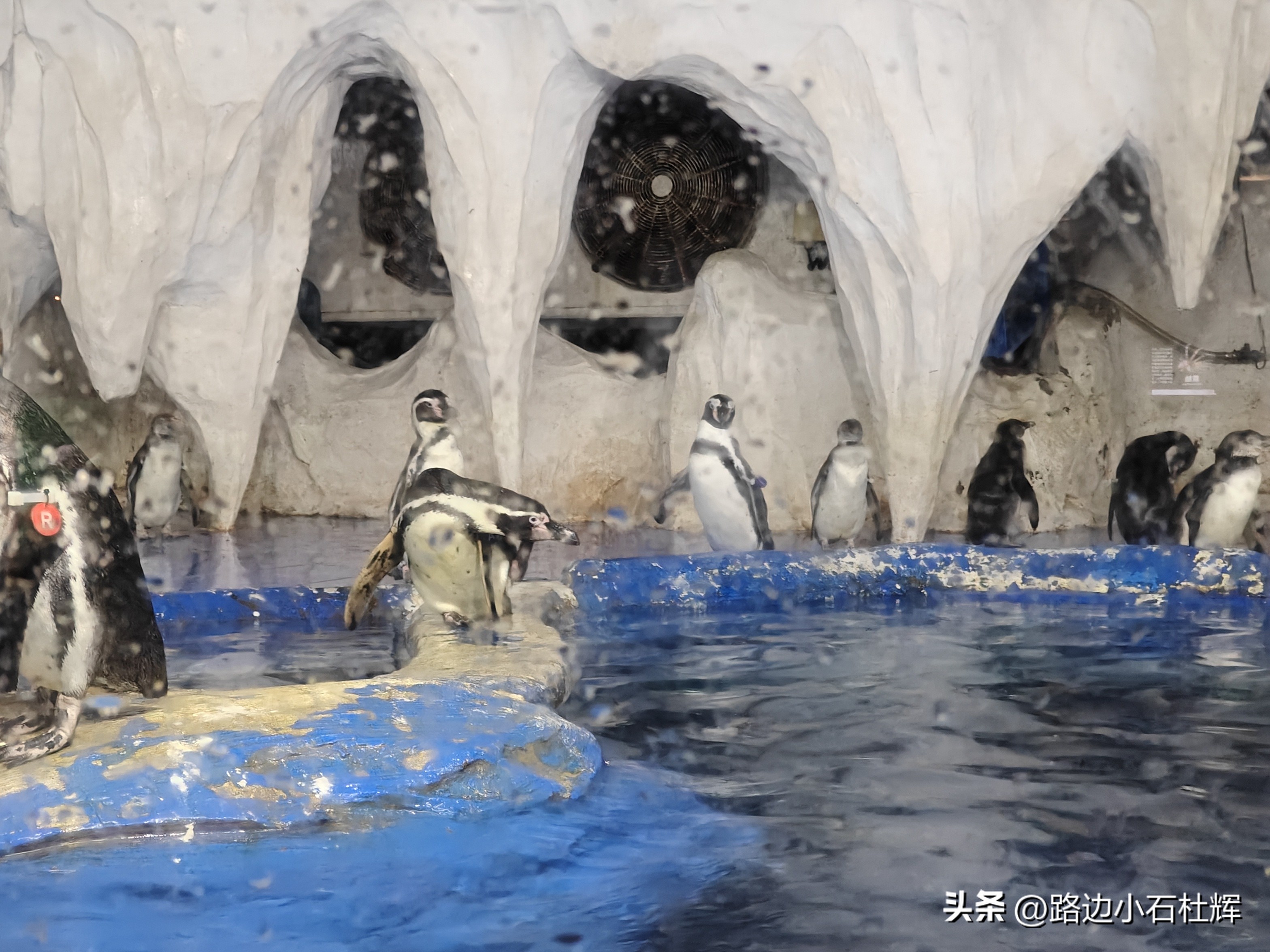 游游人间,游旅人间