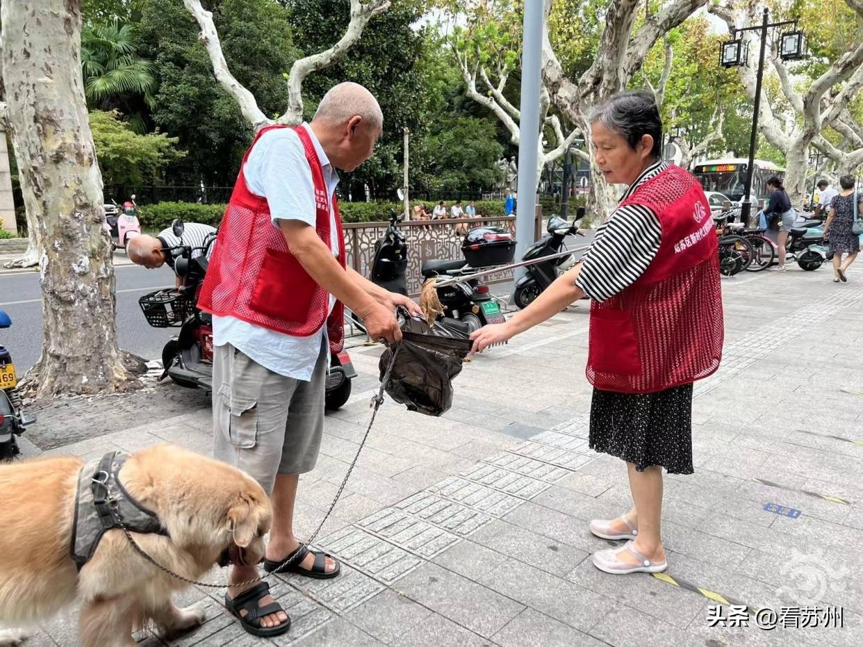 萌宠上阵！苏州五卅路这对文明搭档太“吸睛”