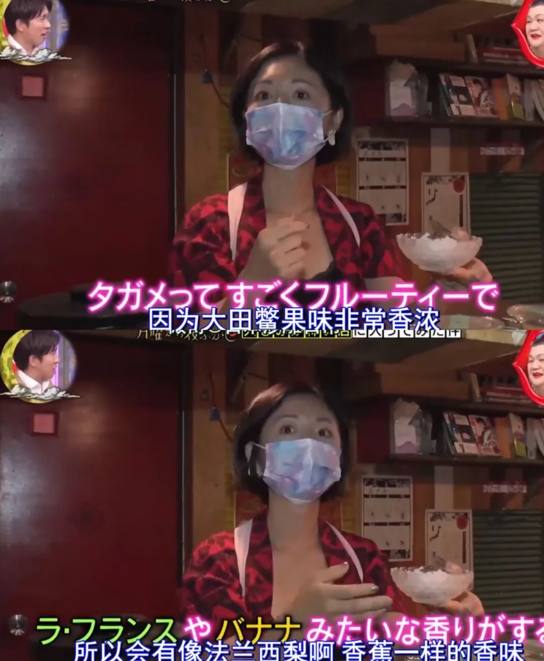 独角仙鹿角虫,鹿角虫和独角仙有什么区别