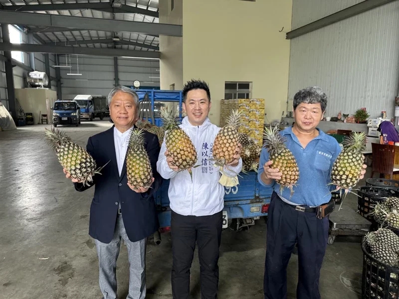 台湾凤梨出现近10年最严重滞销，陈以信批*进党民**当局没有及早因应