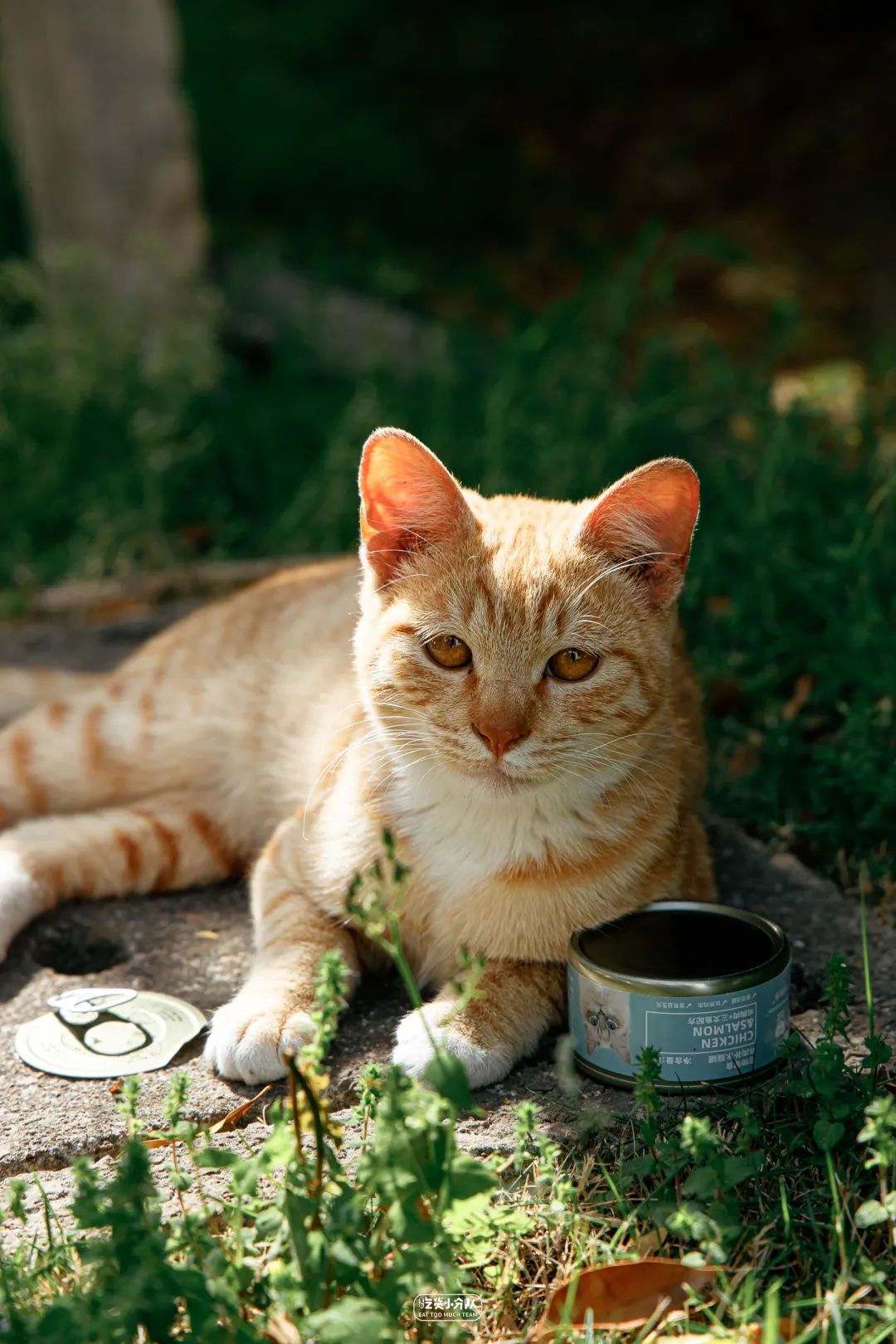 办一张上海的大学饭卡,上海哪个大学可以办理饭卡
