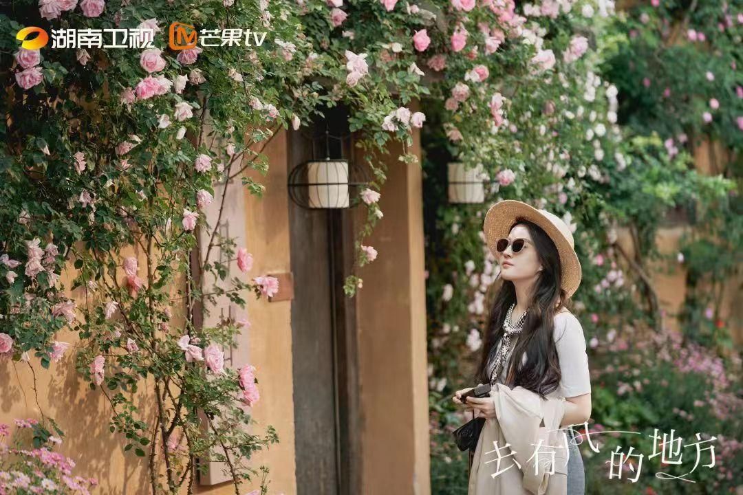 2023年评分最高的10部国产剧,2023年值得看的国产影片