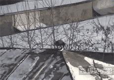 单身狗慎入合集国漫,单身狗慎入高甜预警