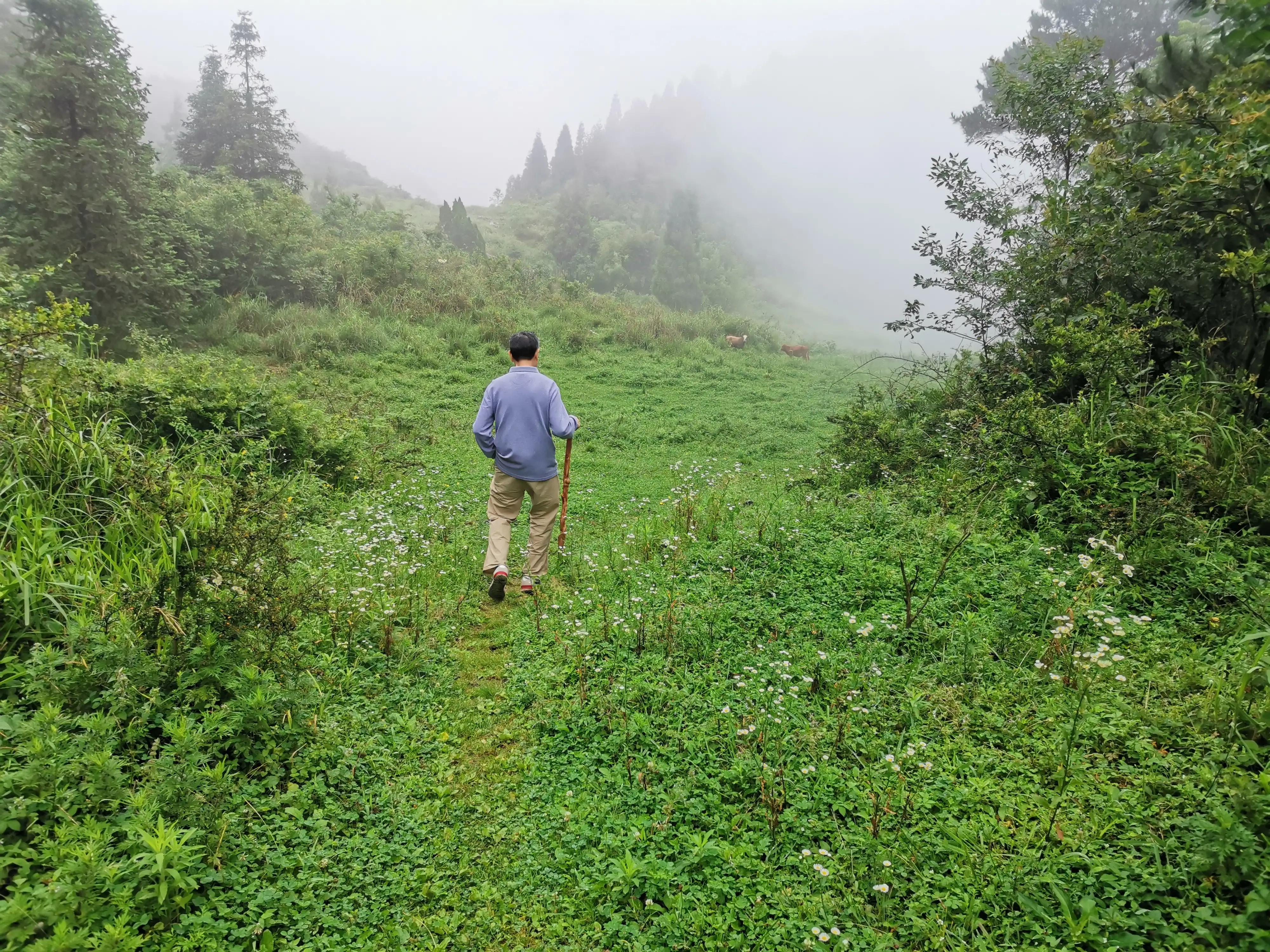 去贵州桐梓避暑哪里最好,桐梓包吃住避暑民宿