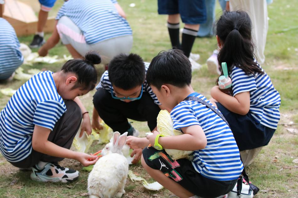鼓浪屿可以当天预订船票攻略 (鼓浪屿还有免费的船票吗)