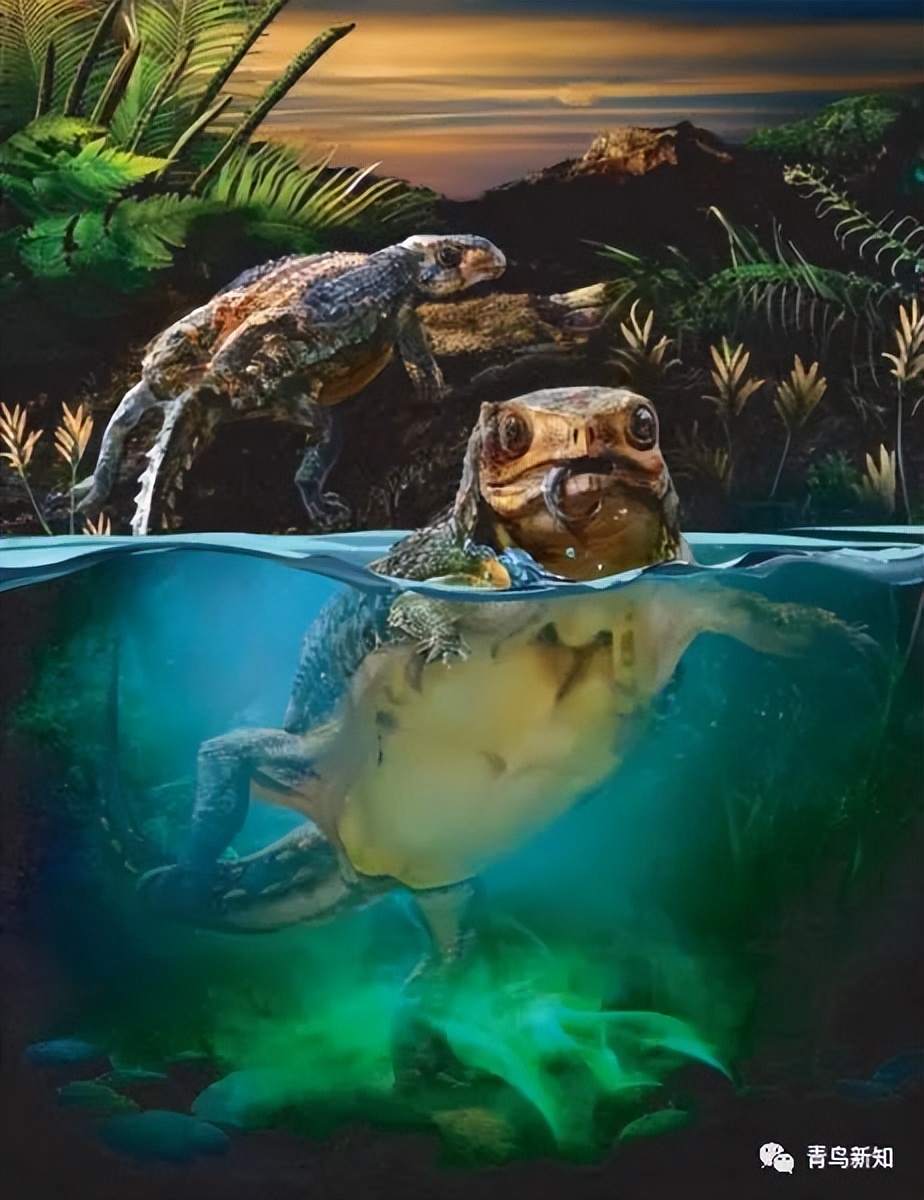 恐龙主题的铠甲可穿戴,恐龙战士怎么变身