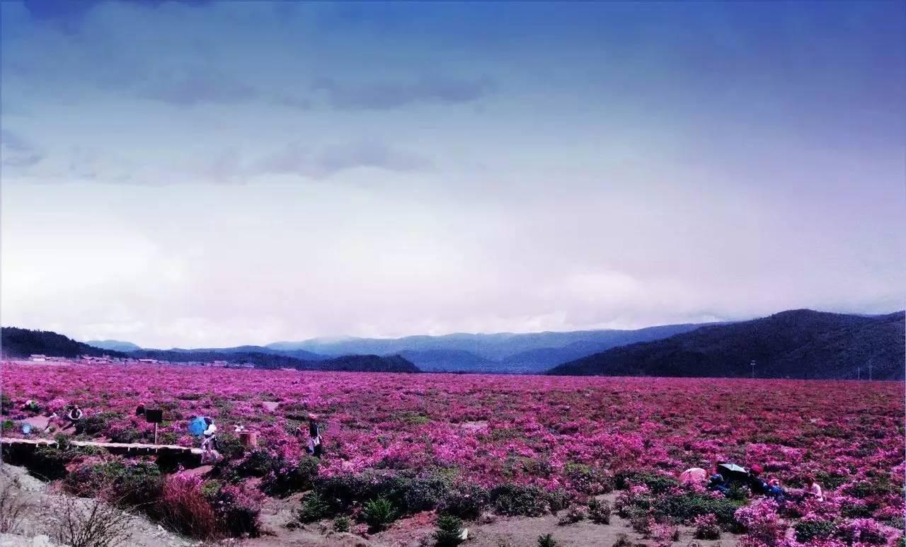 云南旅游景点大全最值得去的,云南旅游景点有哪些好玩的