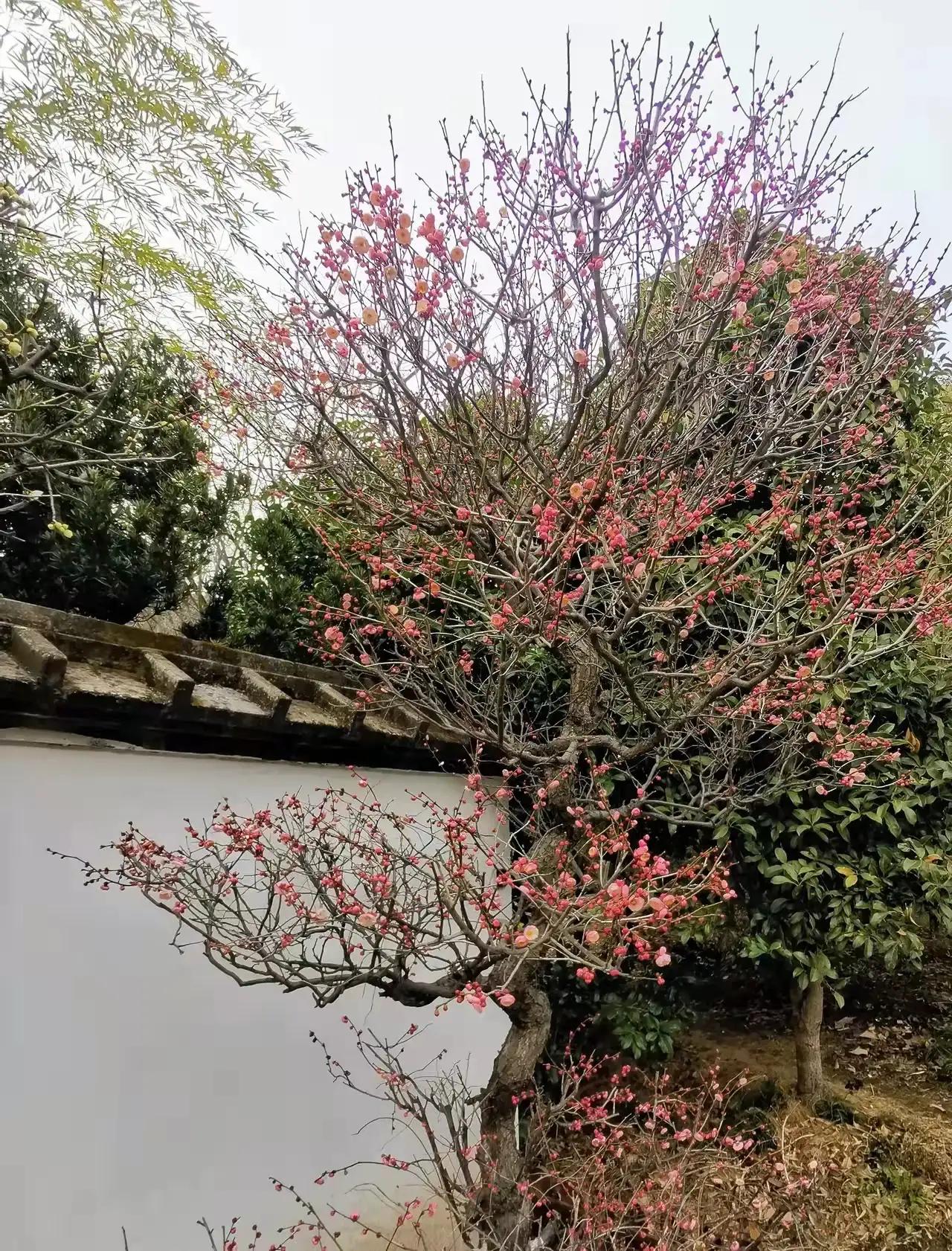 七绝春日二首原创,春日七绝诗十首