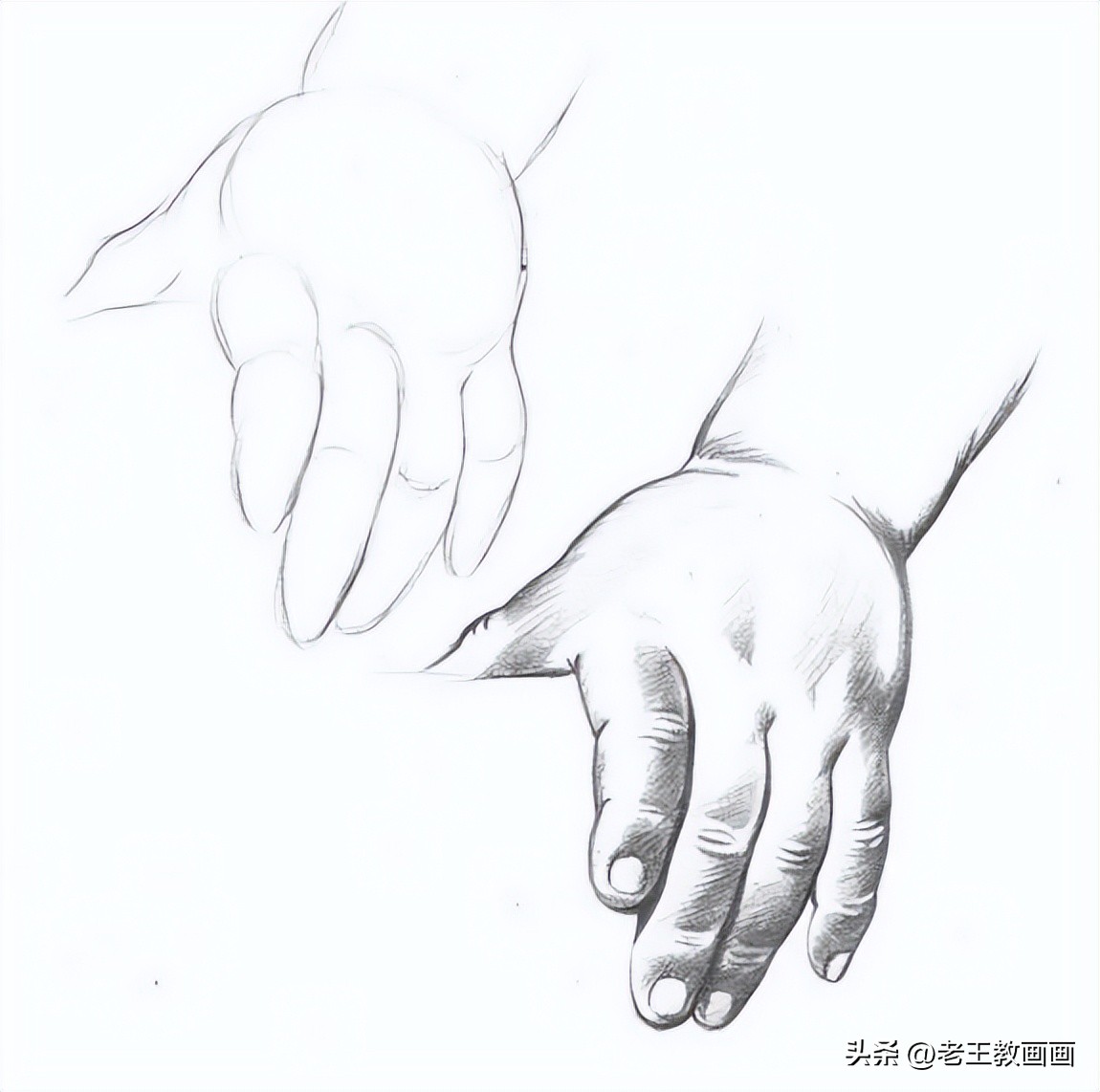 素描基础入门初学者,素描初学者入门教程零基础
