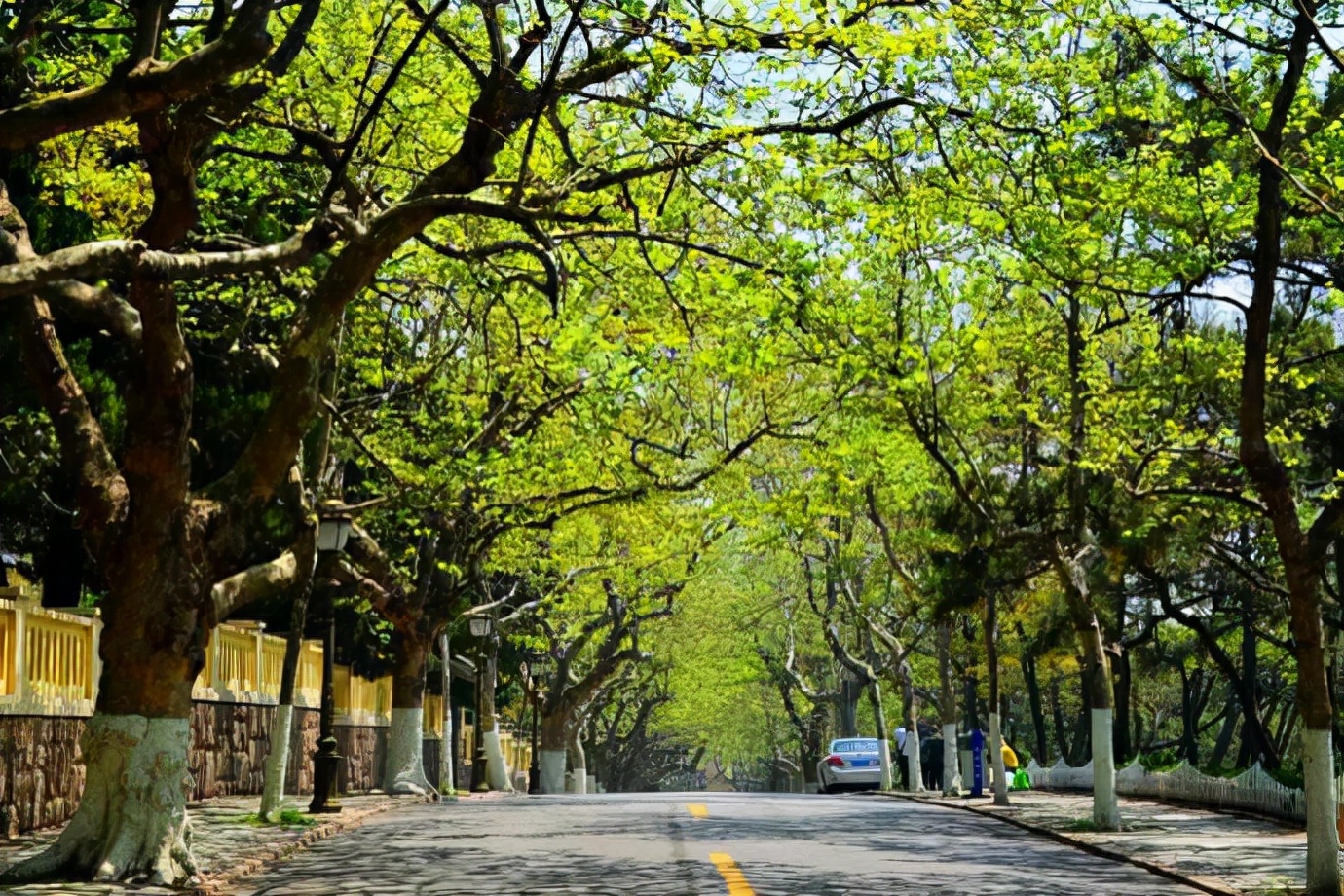 青岛十大热门景点,青岛市内旅游十大必去景点
