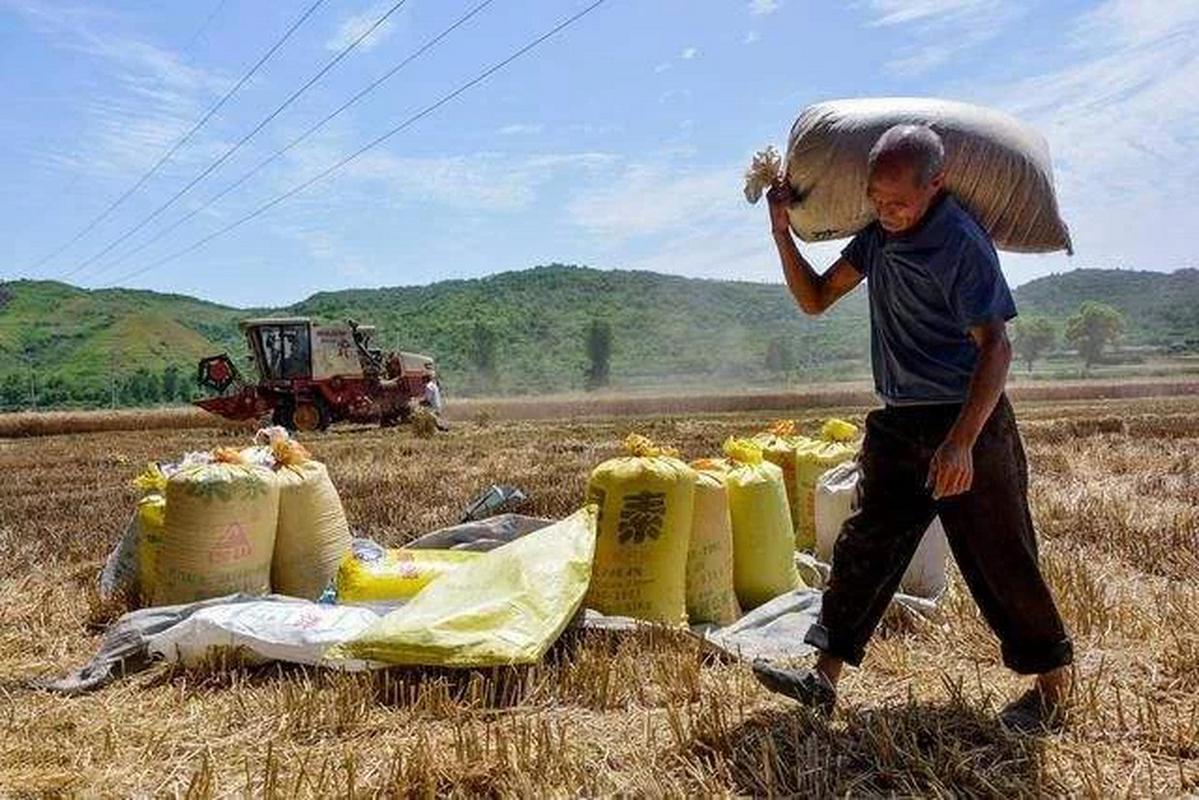 为何中国人勤劳，但大多不富裕？只因忽略了这些东西，发人深思