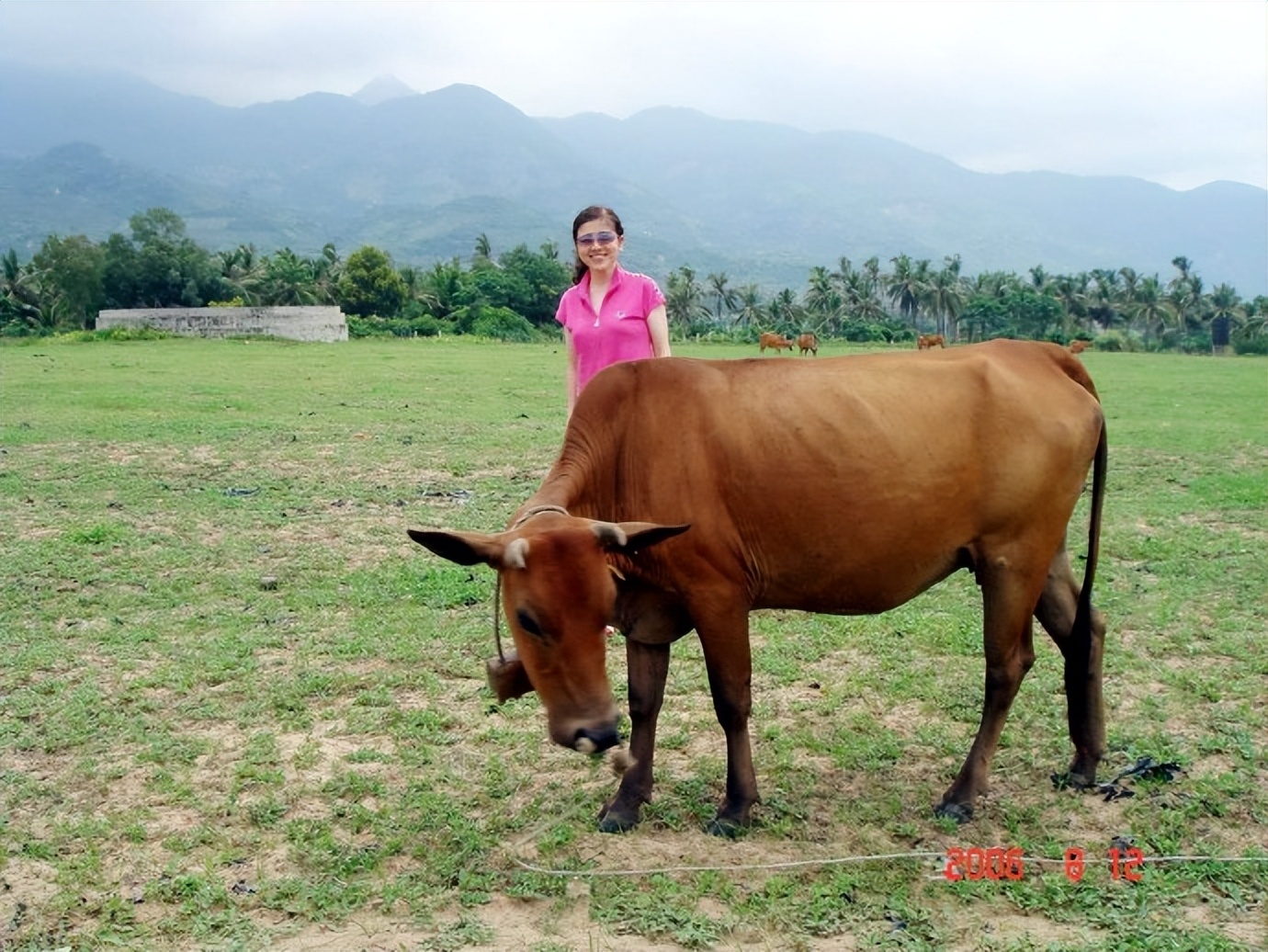 海南陵水环岛旅游公路香水湾,陵水黎安镇离香水湾多远
