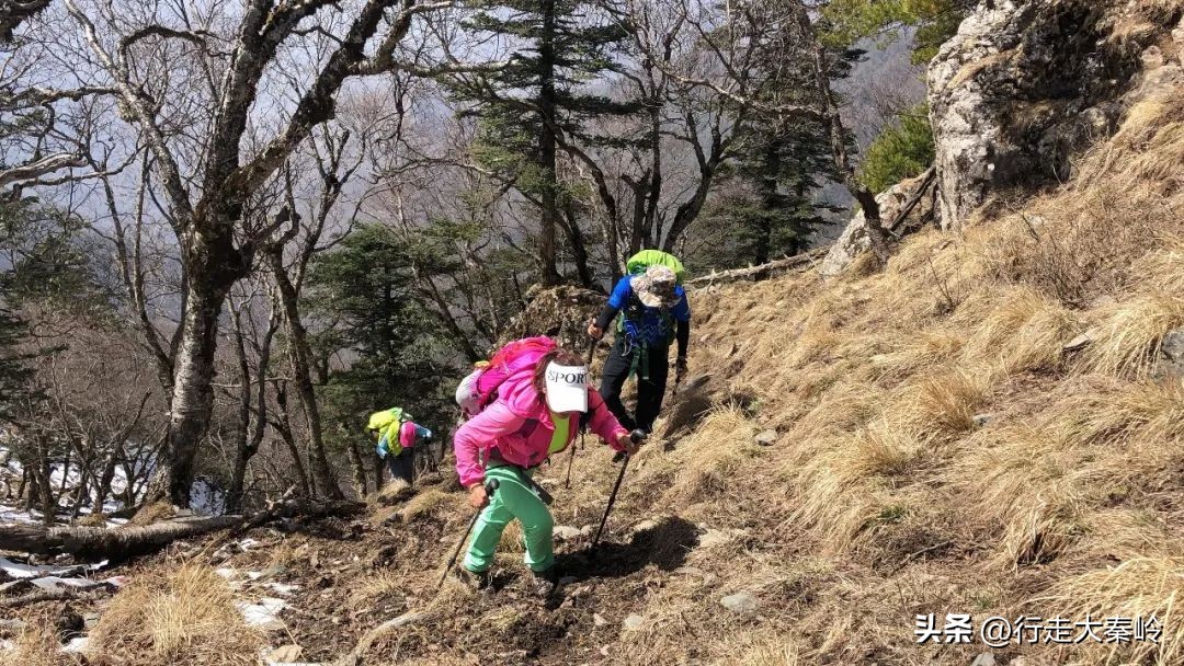 首阳山穿越大坪梁景色怎么样,大坪梁穿越到首阳山攻略