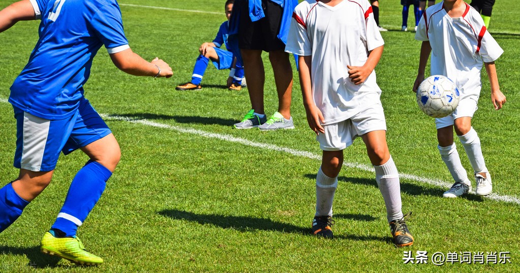 有言有味,有言有味说单词读后感