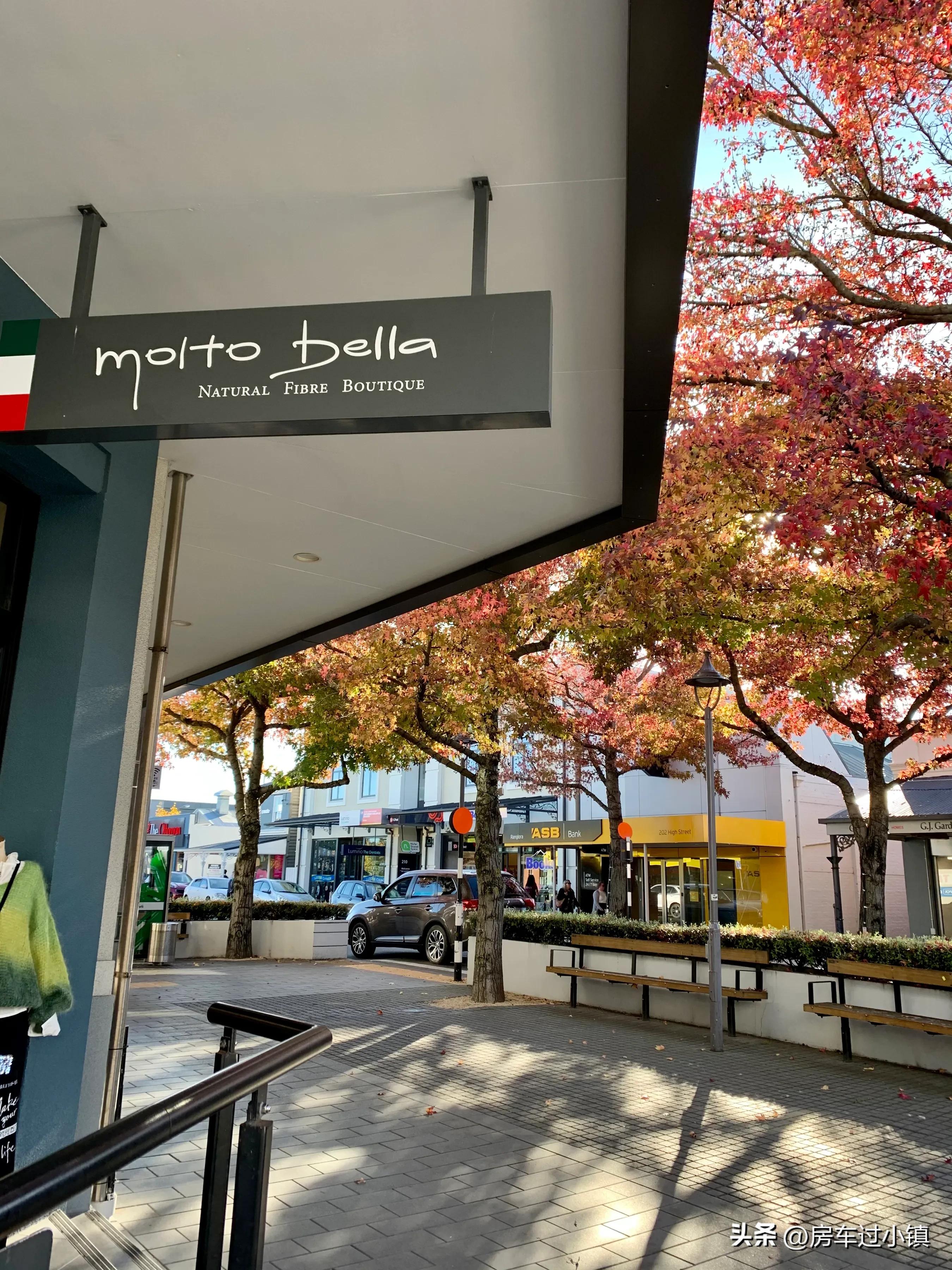 阿拉蕾的小镇、五元松果及其它——新手新车新西兰之十