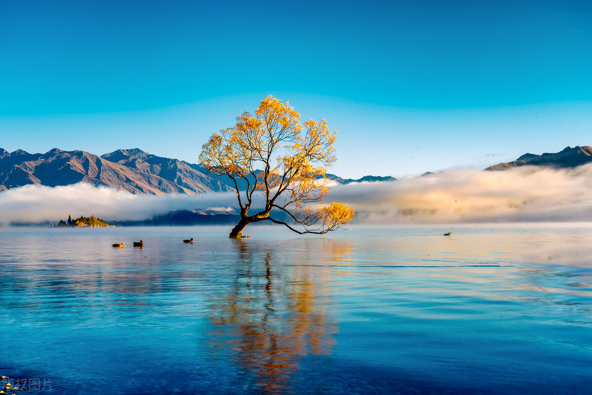 2024年中考必考作文题,2023-2024年中考必读作文