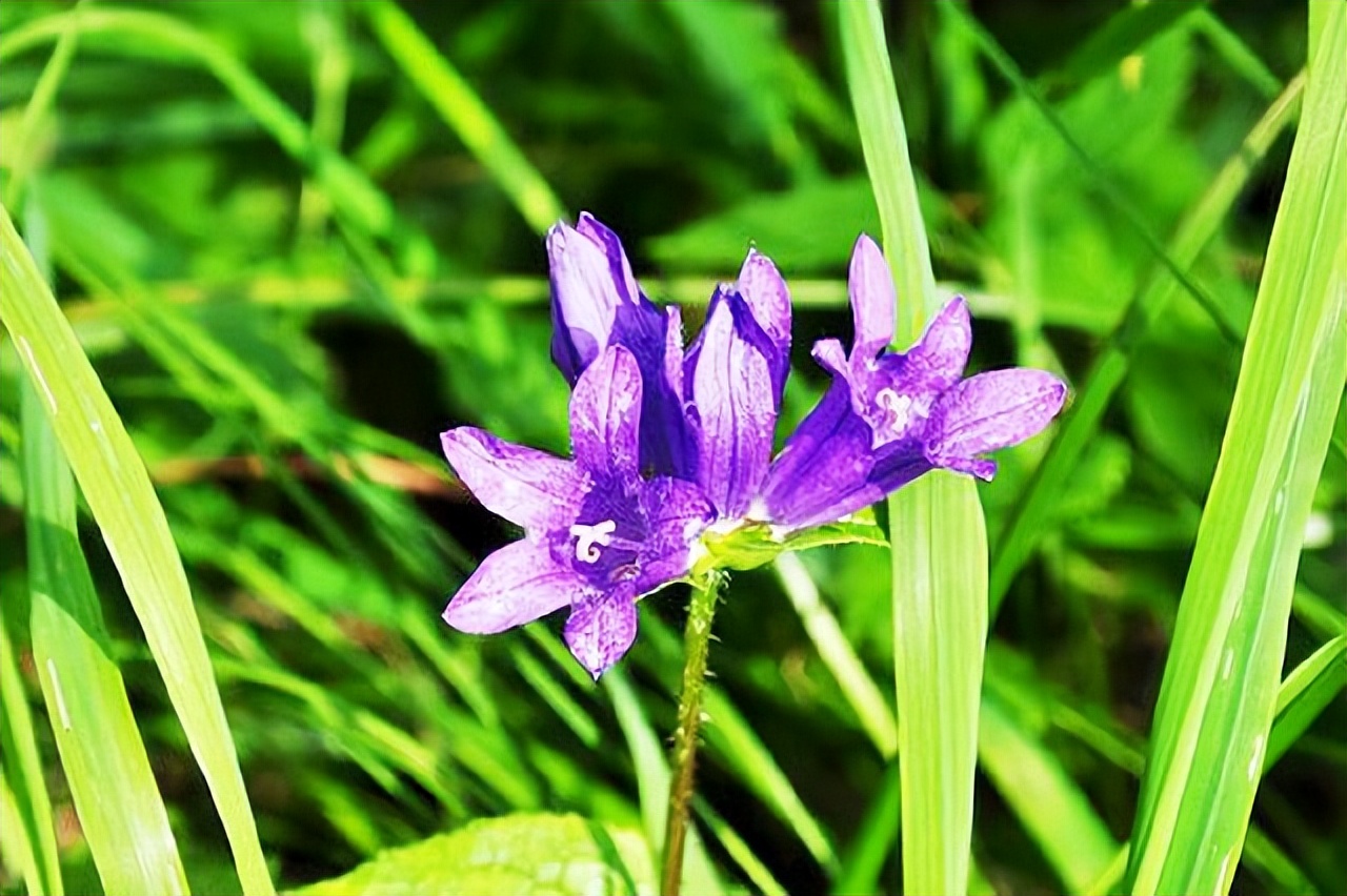 我的难过谁能懂呢伤感句子,心情难过的说说霸气短句