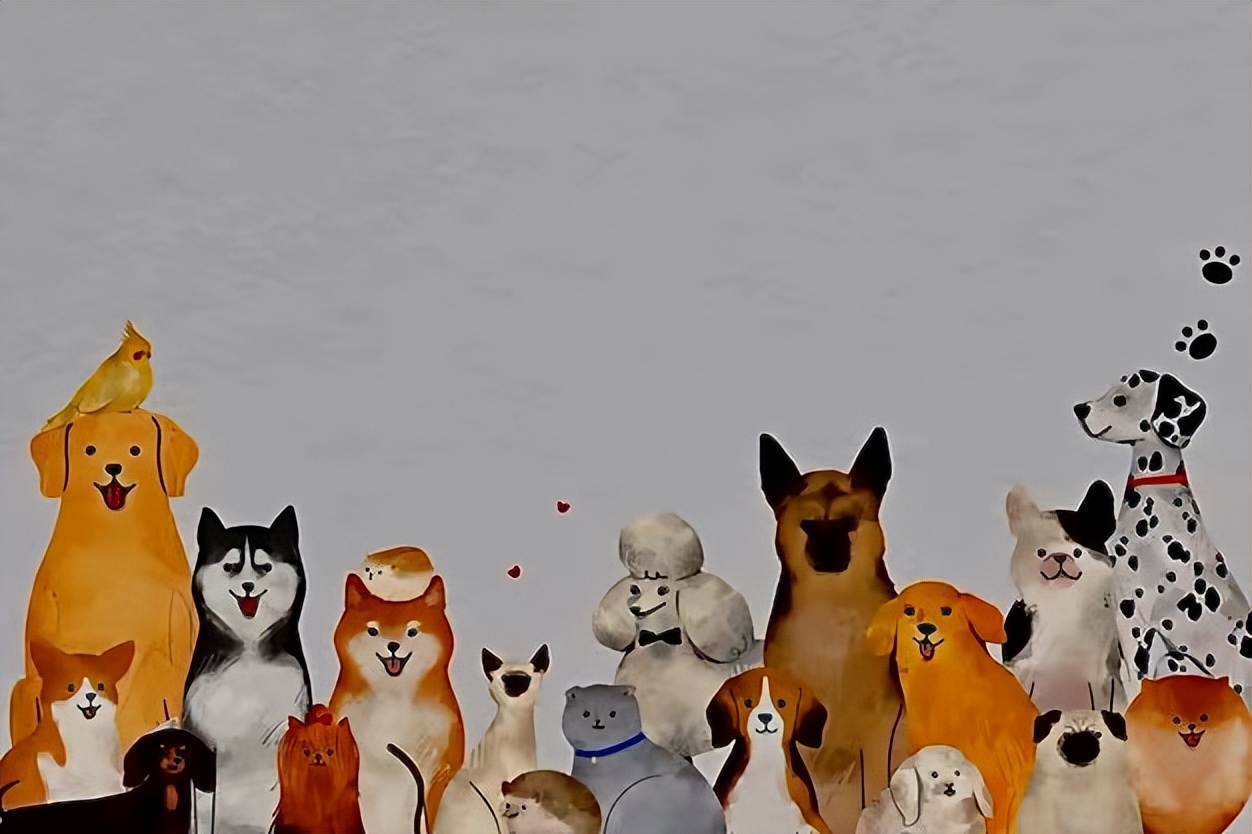 观望3年、准备7个月，我在湾区做了一个宠训App|对话创始人