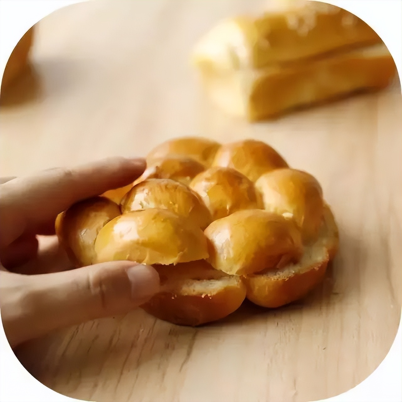 美食课大汉堡,美食课堂主题