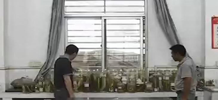 男子花20万买受伤鲶鱼,男子花20万买了一条受伤的鱼