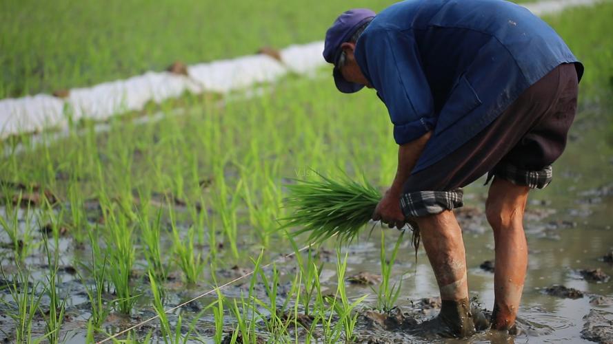 中央对贫困地区的补助标准,中央100亿补助农民如何下发的