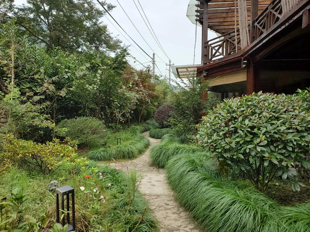 莫干山川野特色民宿,莫干山民宿亲子游烧烤