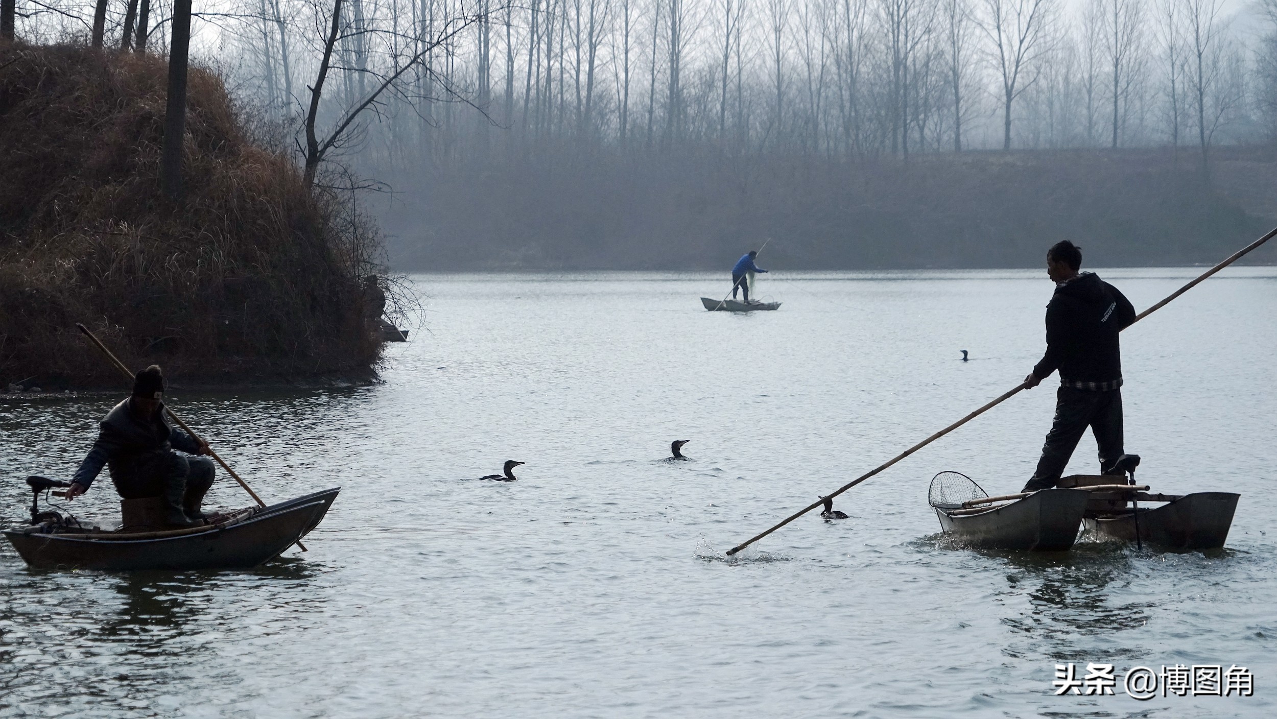 80年代农村鱼鹰捕鱼,渔民与鸬鹚捕鱼图片