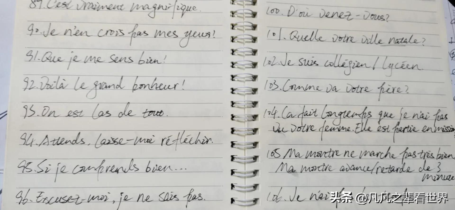 凡凡看世界申亮亮,凡凡看世界路人视角