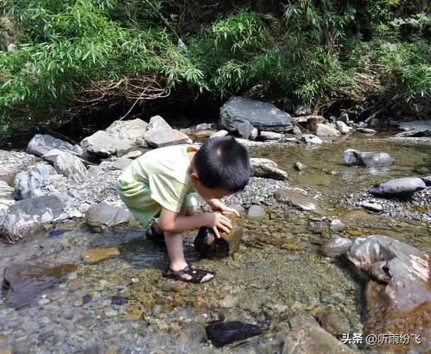 回忆童年捞虾,童年回忆捞河虾