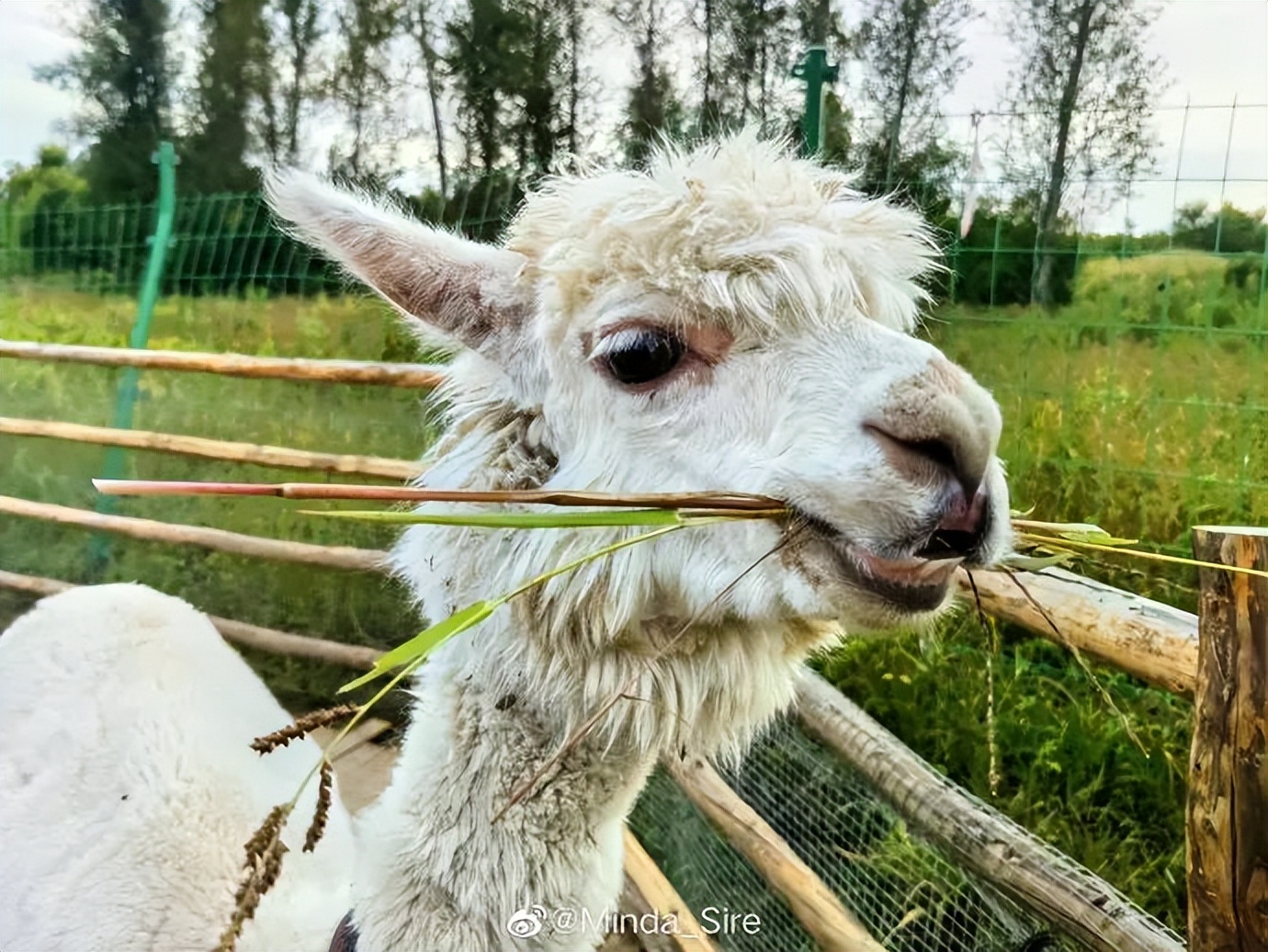 可以驱车直接上山的露营地,大自然馈赠的绝佳露营地