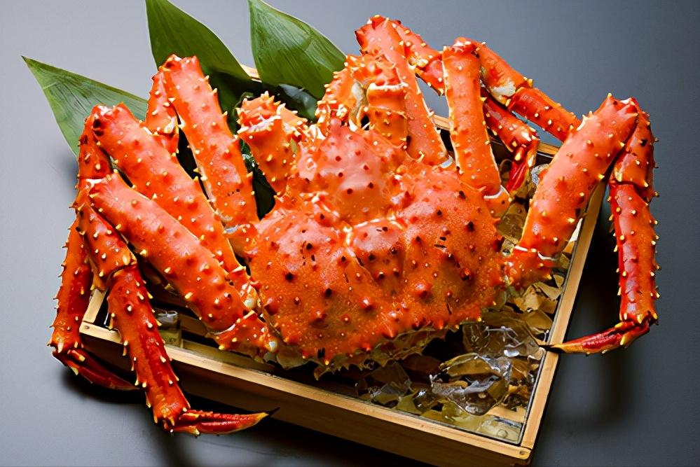 去日本必吃的五种海鲜,到日本必吃的饕餮美食