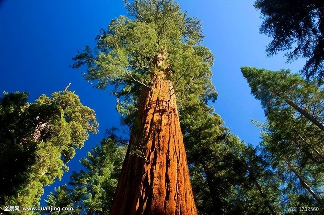 为啥棺材一头高一头低一头大一头,你知道棺材为什么一头大一头小