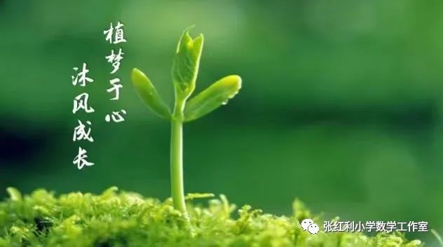 体积和体积单位小学数学人教版,小学五年级数学体积和体积单位