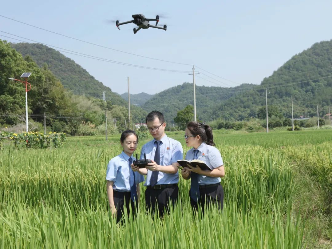 主题教育十个对照五个方面检视,主题教育落实有何不足