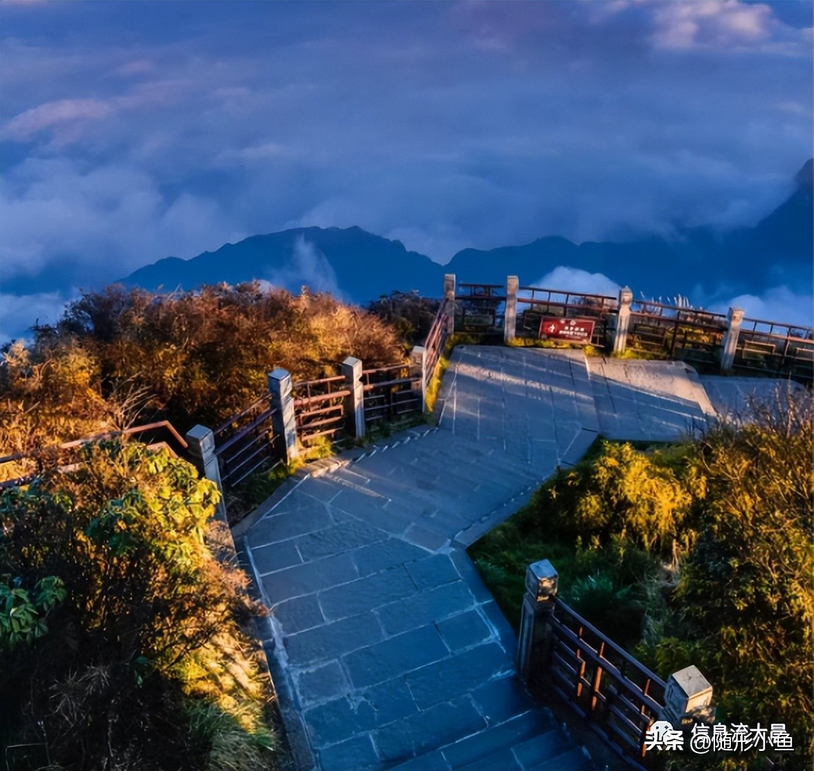 创业者必看,未来十年最具前景的创业项目