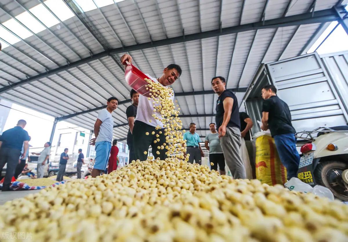 小本生意创业和打工哪个好,做什么小本生意能月入3000