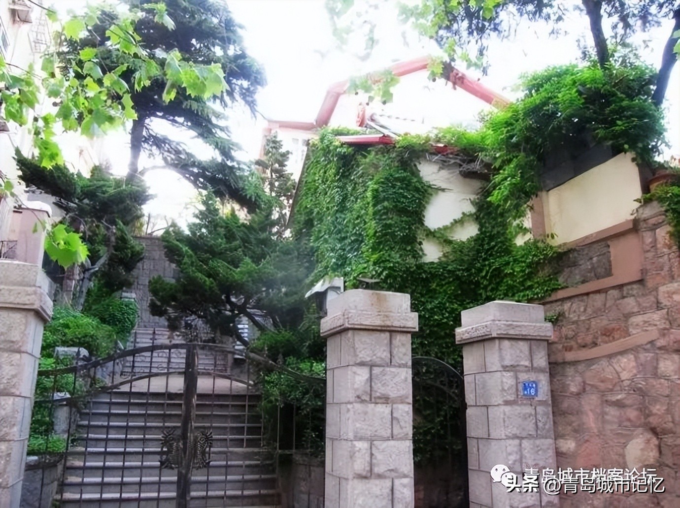 我的齐东路（上篇）