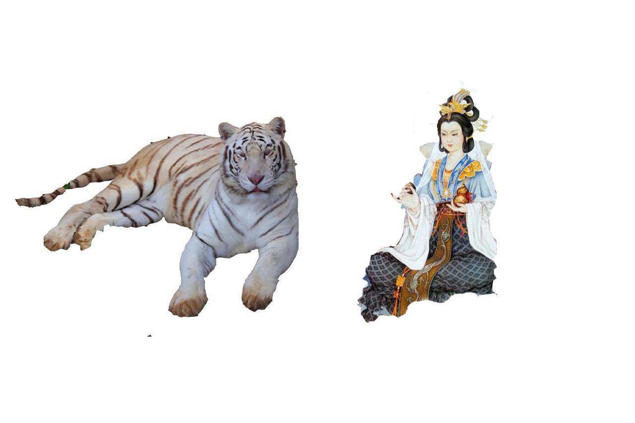 乌克兰，我们7000年的老姑婆，您还好吗