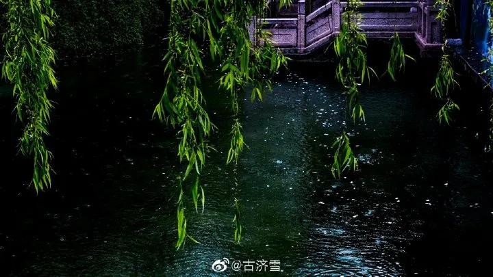济南的春天来了吗,济南春天来了