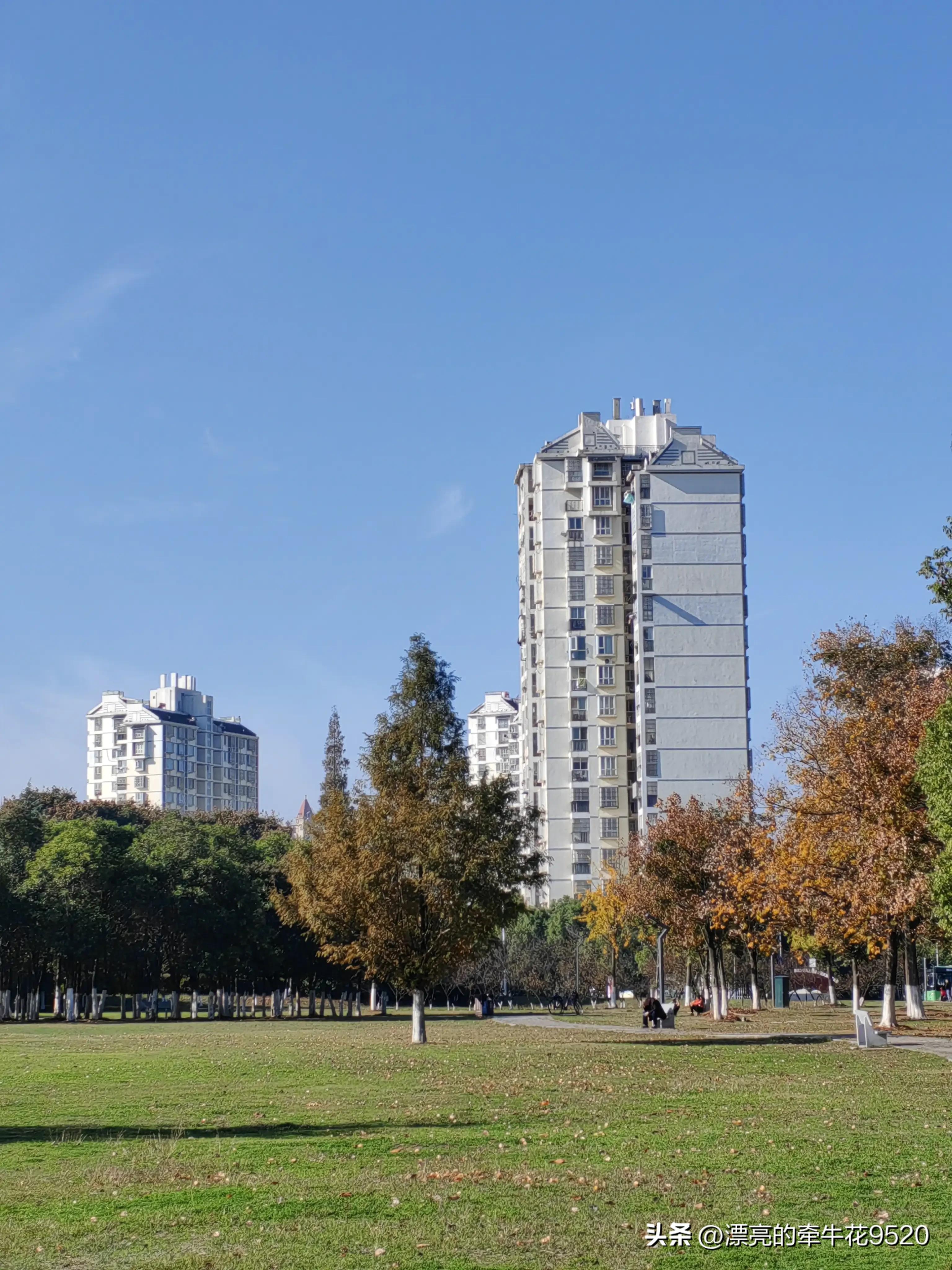 六安月亮岛的风景春夏秋冬,六安月亮岛夕阳美景