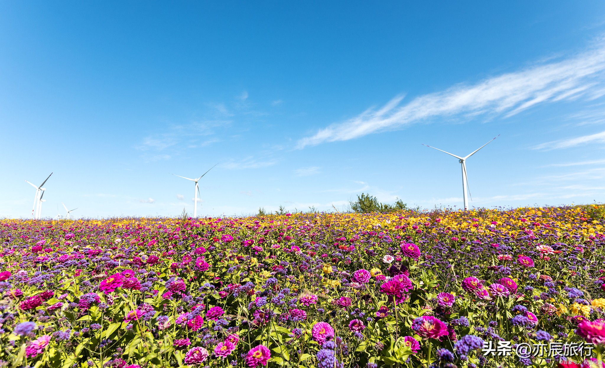 最新的包头市旅游景点游览攻略,包头最新旅游景点