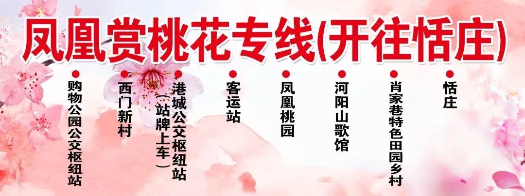 今日开通高铁,快上车流程