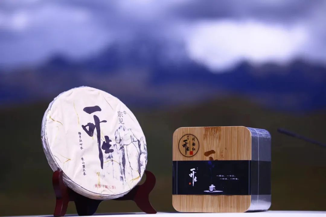 党建引领茶产业发展助力乡村振兴,乡村振兴促进茶产业发展