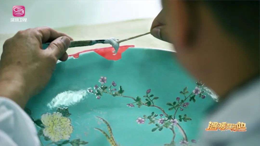 能给病人看病的是什么医生,专门给动物看病