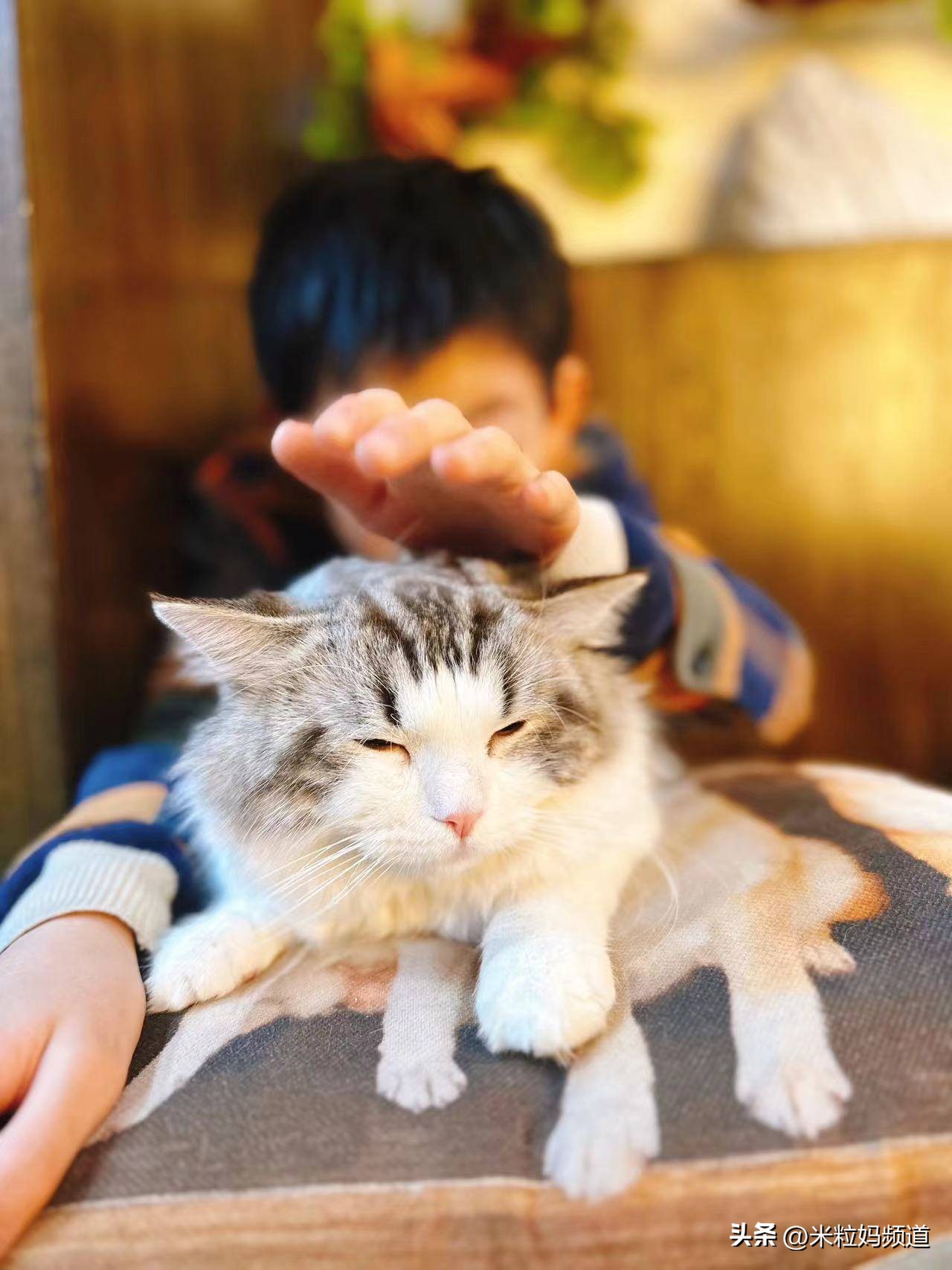 儿子跟同学打架爸爸反应,儿子和别人打架打输了爸爸回应